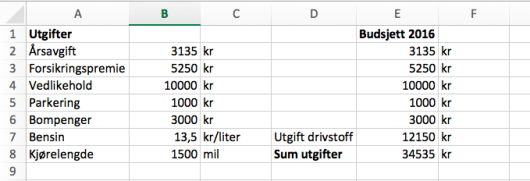 Regneark med Vildes budsjett.